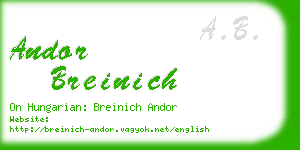andor breinich business card